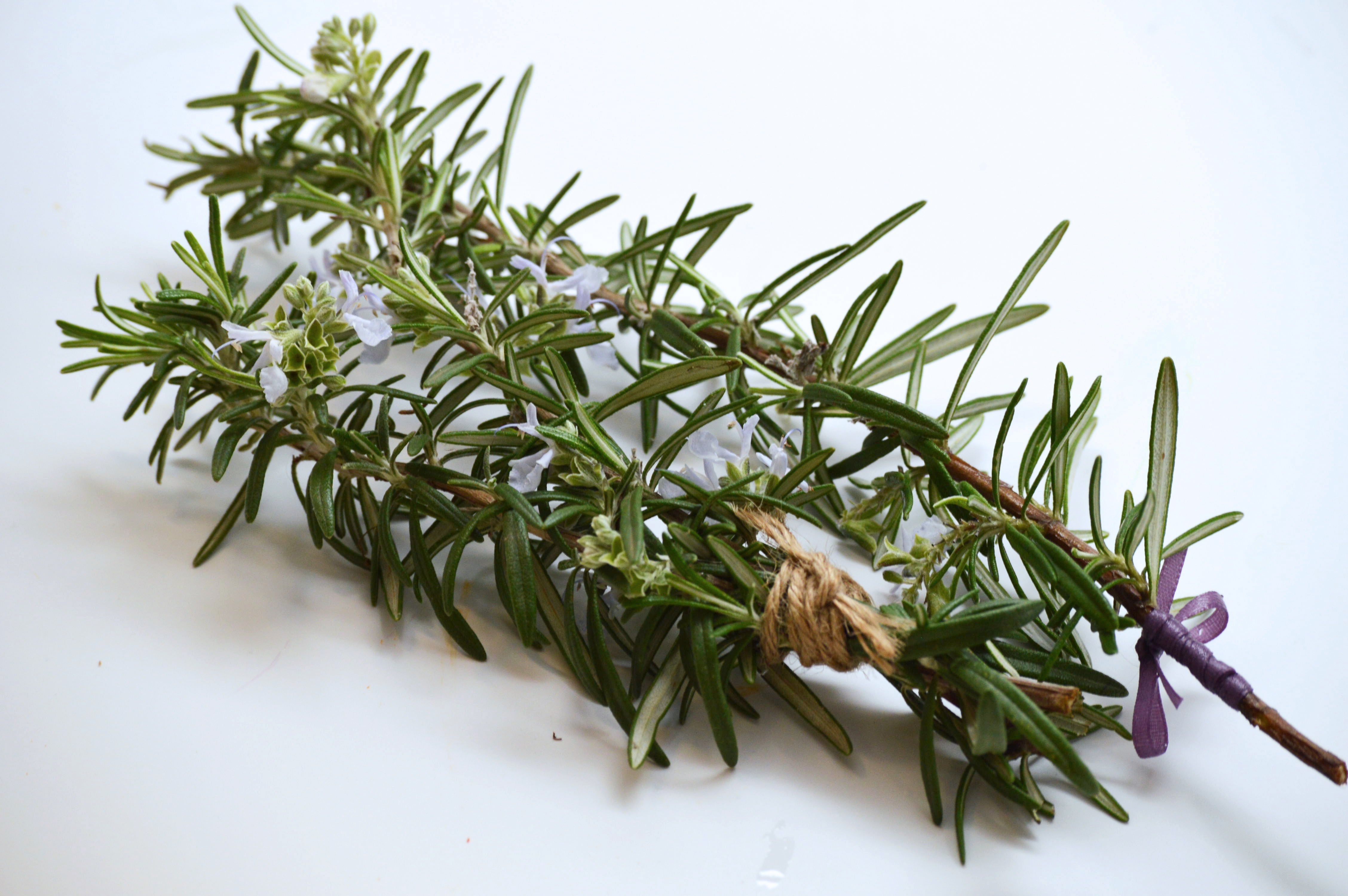 Herbs for Hair Growth