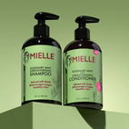Mielle Rosemary Mint Shampoo + Leave in Conditioner Bundle